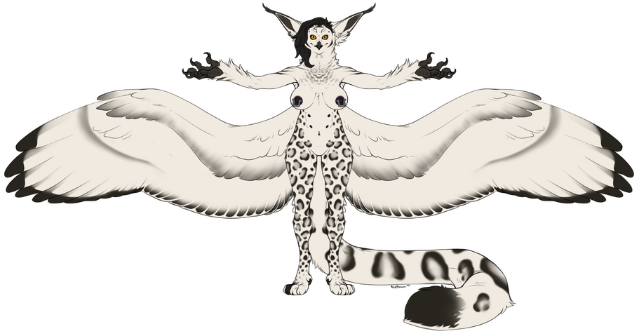 Outdated Reference Sheet